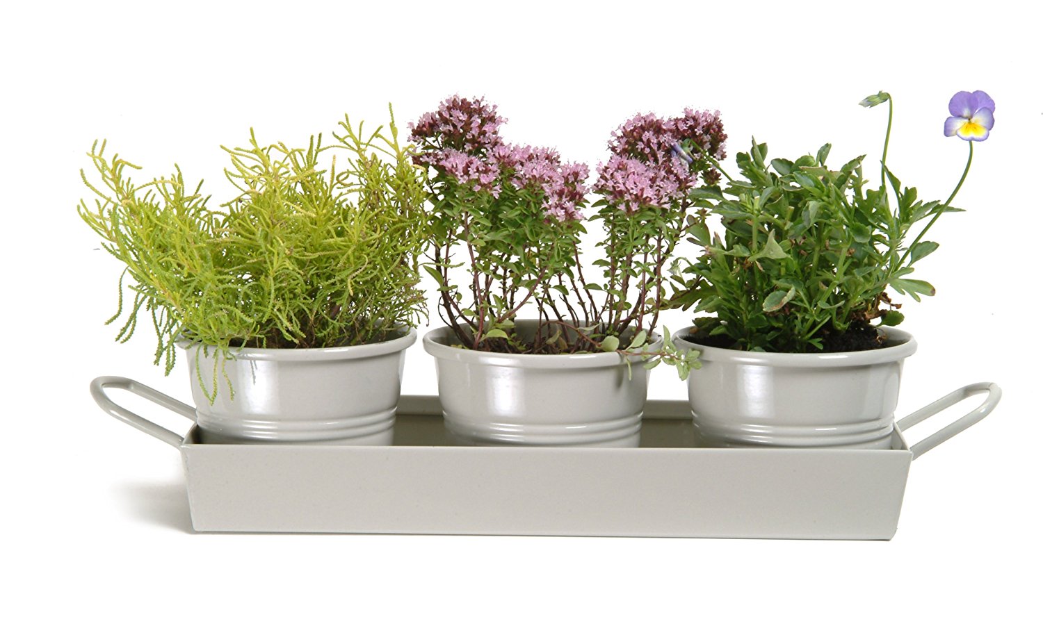 set of 3 trays perfect for the garden