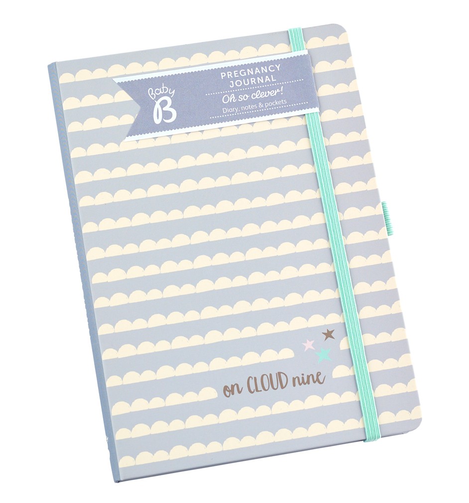 pregnancy journal notebook