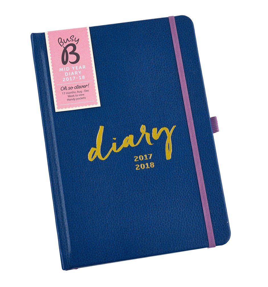 busy b diary for the year