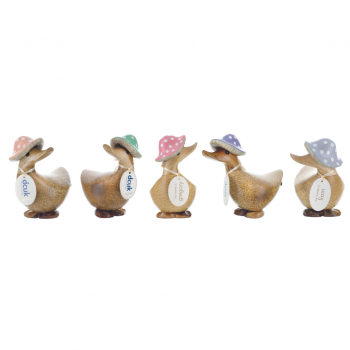 DCUK Toadstool Ducky Natural Wooden Duck - Choice of Colour