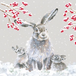 Wrendale Designs Snowfall Boxed Christmas Cards