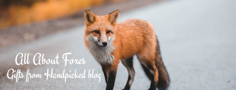 All About Fabulous Foxes | Gifts from Handpicked Blog