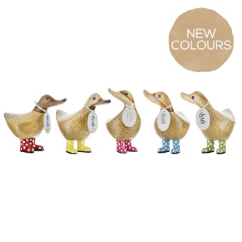 DCUK Spotty Welly Small Wooden Ducky - Choice of Colour