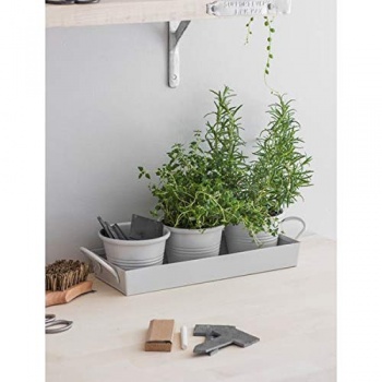 Garden Trading Set of 3 Chalk Pots on Herb Tray