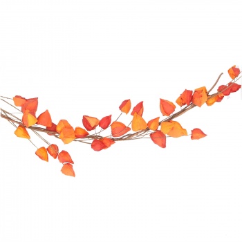 Gisela Graham Orange Physalis Autumnal Leaf Garland
