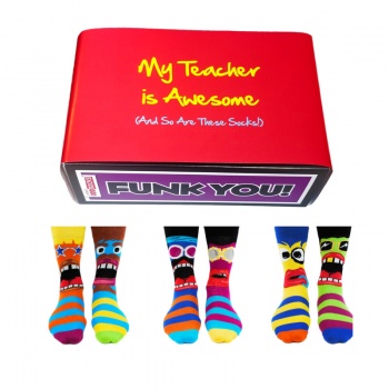 Awesome Teacher Gift Set - Assorted Oddsocks for Men