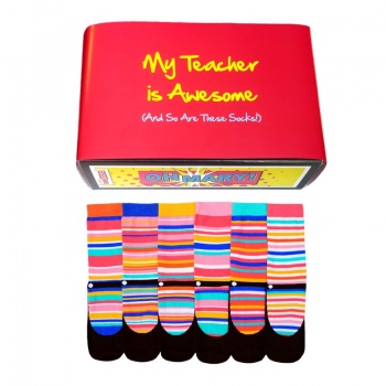 Awesome Teacher Gift Set - Assorted Oddsocks for Ladies