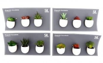 Sifcon Set of Three Succulent In Pots Fridge Magnets - Random Selection