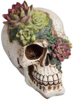 Widdop White Resin Floral Skull Home Decoration