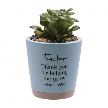 Widdop Teacher Thank You For Helping Me Grow Faux Plant