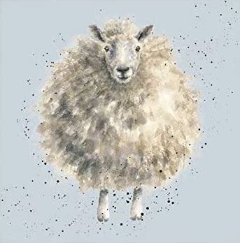 Wrendale Designs The Woolly Jumper Sheep Design 20 Pack Napkin Set