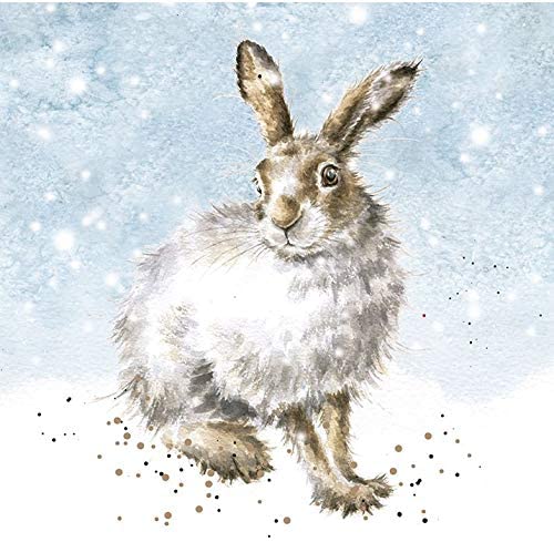 Wrendale Designs Winter Hare Christmas Card Set