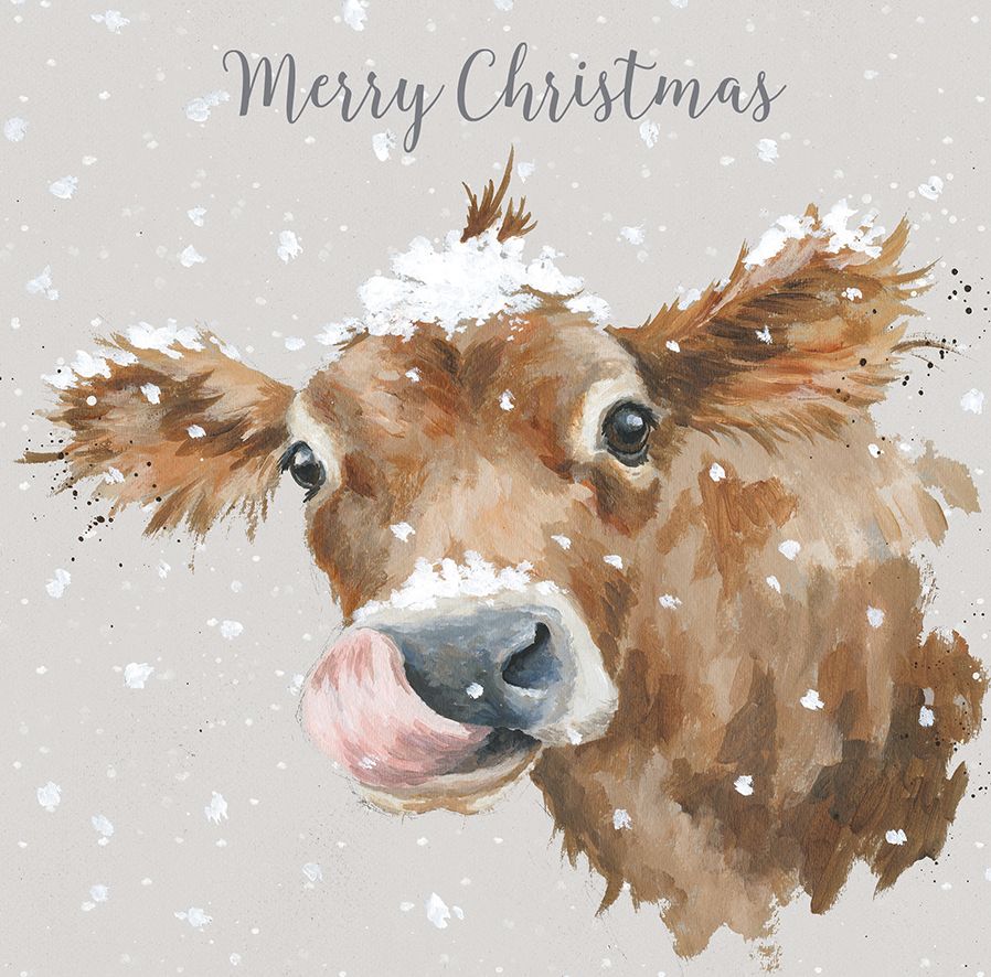 Wrendale Designs First Taste of Snow Boxed Christmas Cards