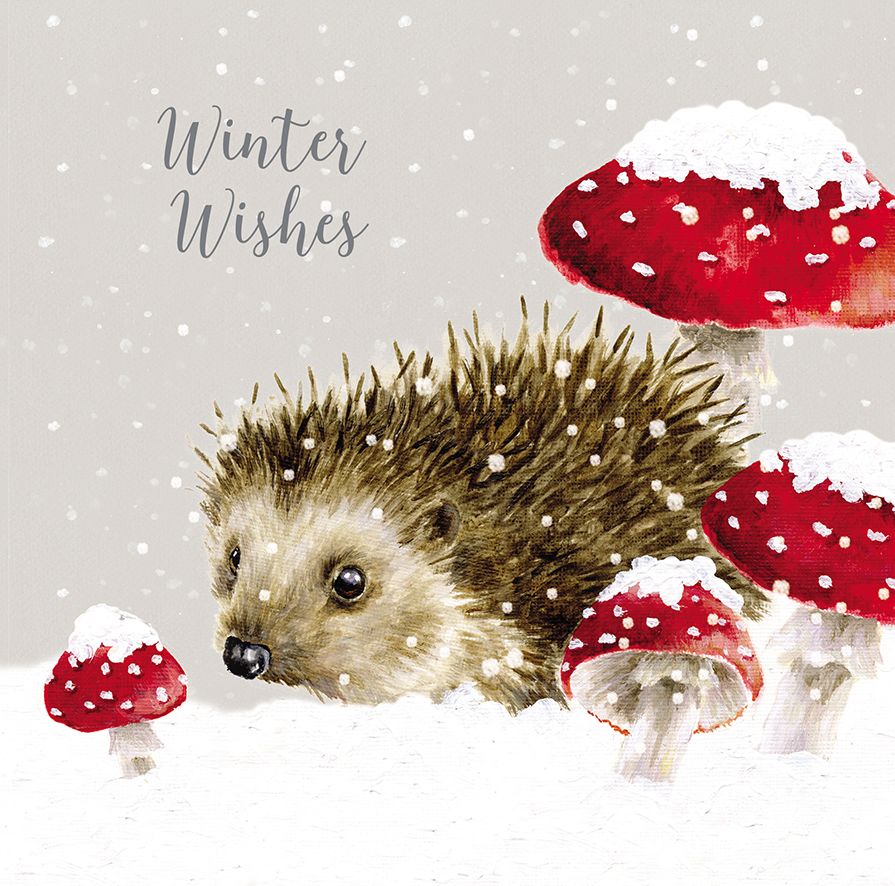 Wrendale Designs Hedgehog with Toadstools Luxury Boxed Christmas Cards