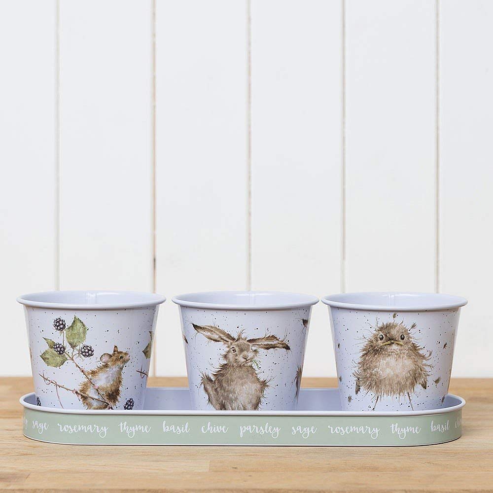 Wrendale Designs Illustrated  Countryside Herb Pots With Tray