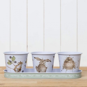 Wrendale Designs Illustrated  Countryside Herb Pots With Tray